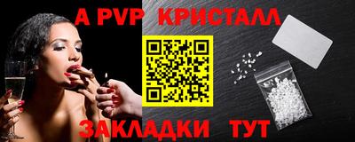 сатива Гай