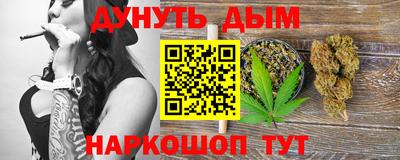 сатива Гай