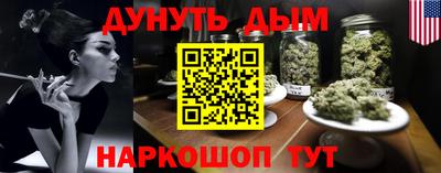 сатива Гай