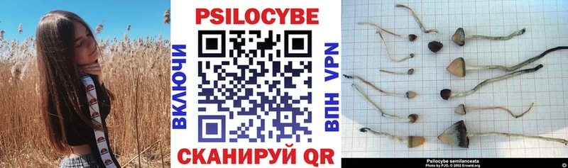 Галлюциногенные грибы Cubensis  Соликамск 