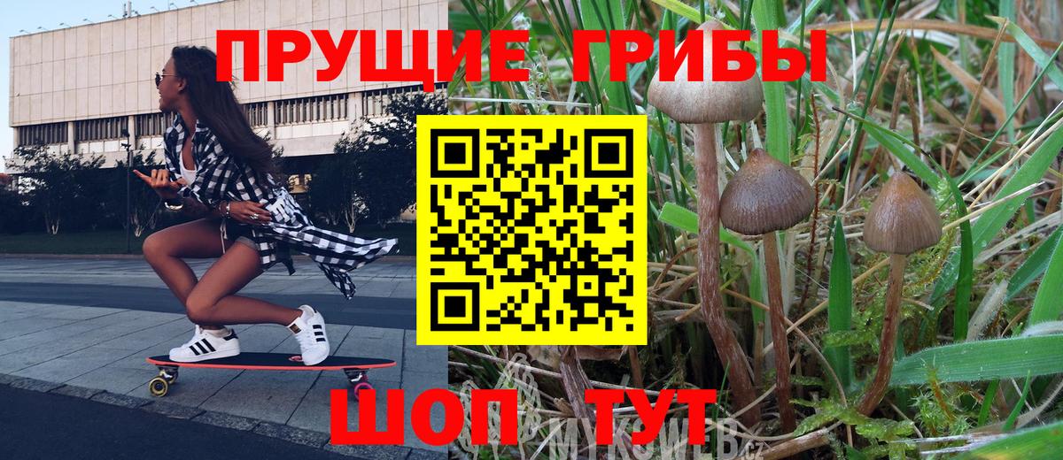 Соликамск  Галлюциногенные грибы Magic Shrooms  Вход с VPN 