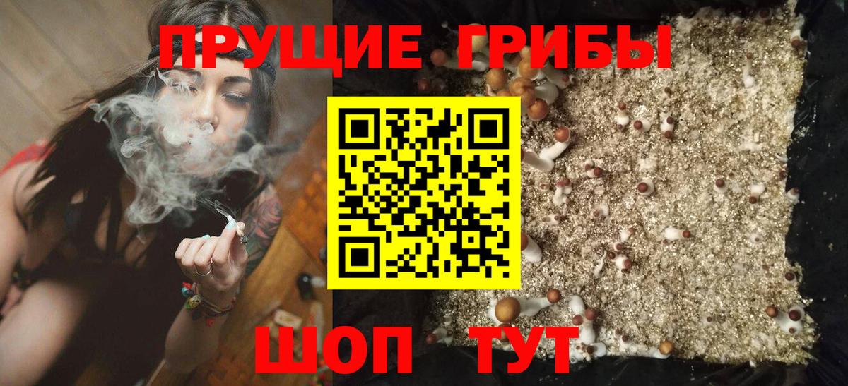 Псилоцибиновые грибы Magic Shrooms  Соликамск  Псилоцибиновые грибы Magic Shrooms 